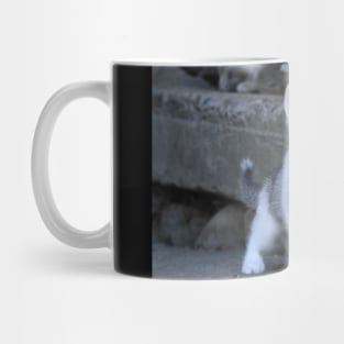 Kitty IV Mug